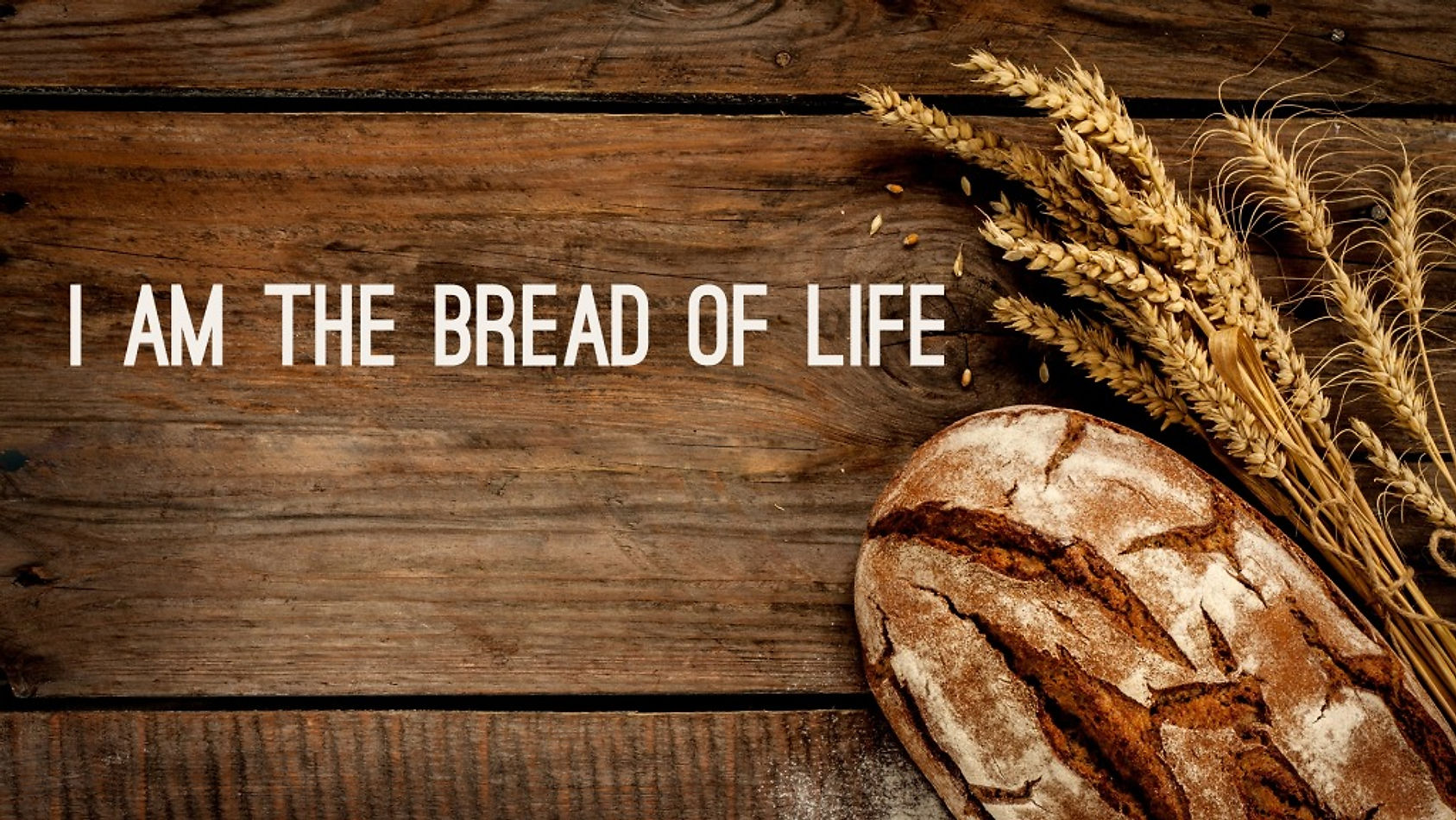 Bread of Life Pt 1